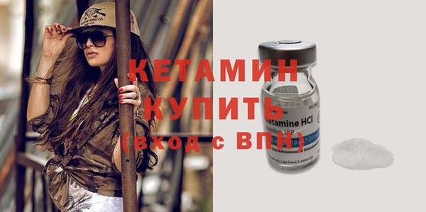 хмурый Верея