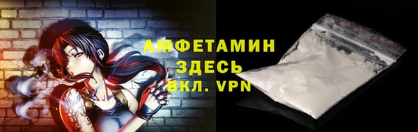 хмурый Верея
