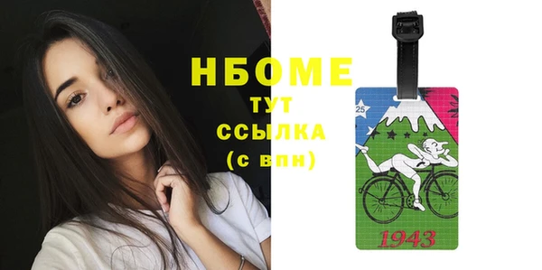хмурый Верея