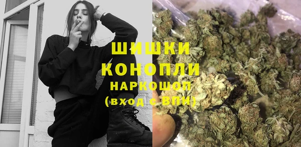 трава Сясьстрой