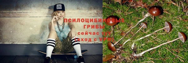дурь Верхний Тагил