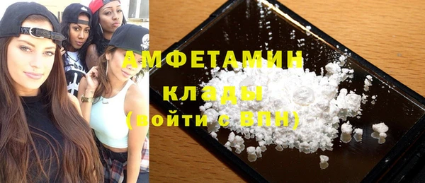 хмурый Верея