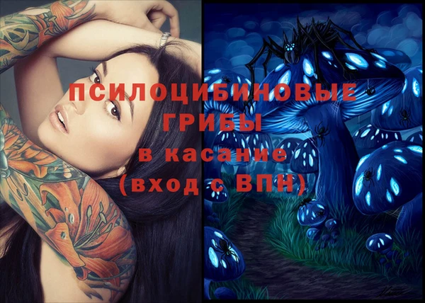 дурь Верхний Тагил