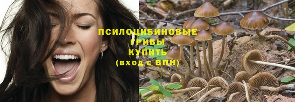 хмурый Верея