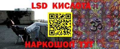 крисы Кингисепп