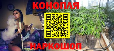 крисы Кингисепп