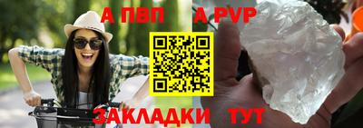 крисы Кингисепп