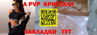 крисы Кингисепп