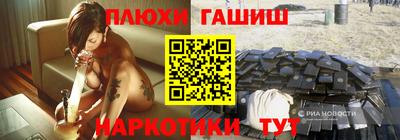 крисы Кингисепп