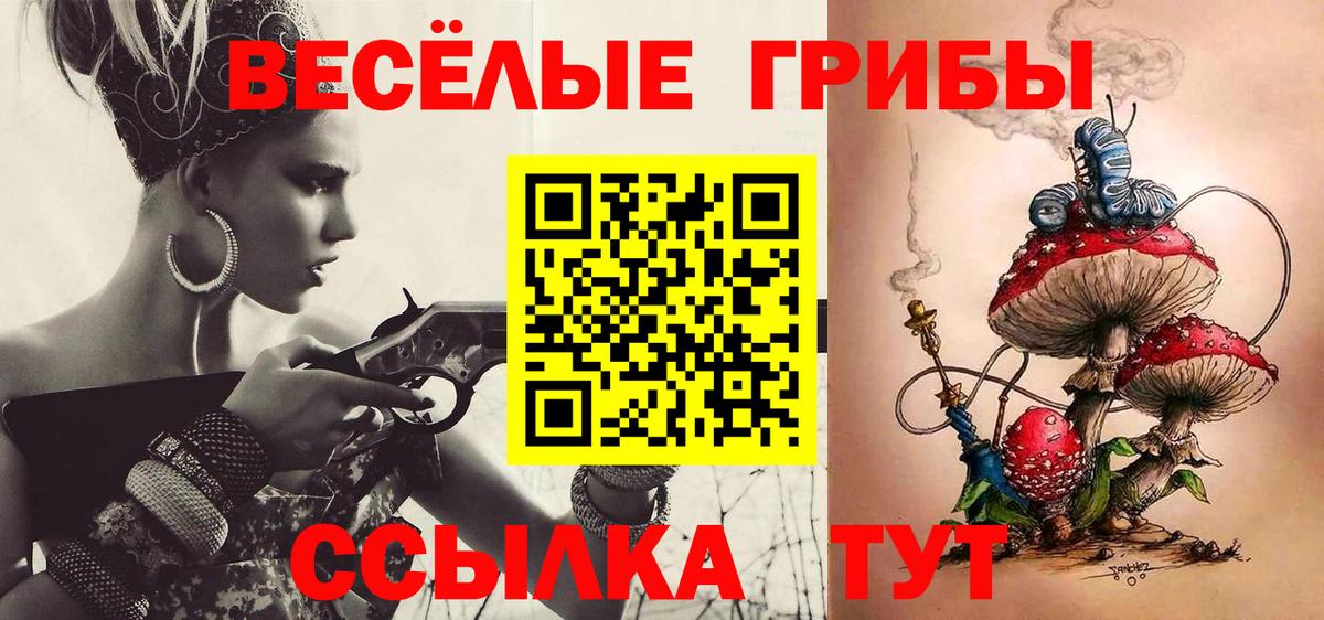 Псилоцибиновые грибы Psilocybine cubensis  наркотики  Острогожск  Вход с VPN  Псилоцибиновые грибы Psilocybe 